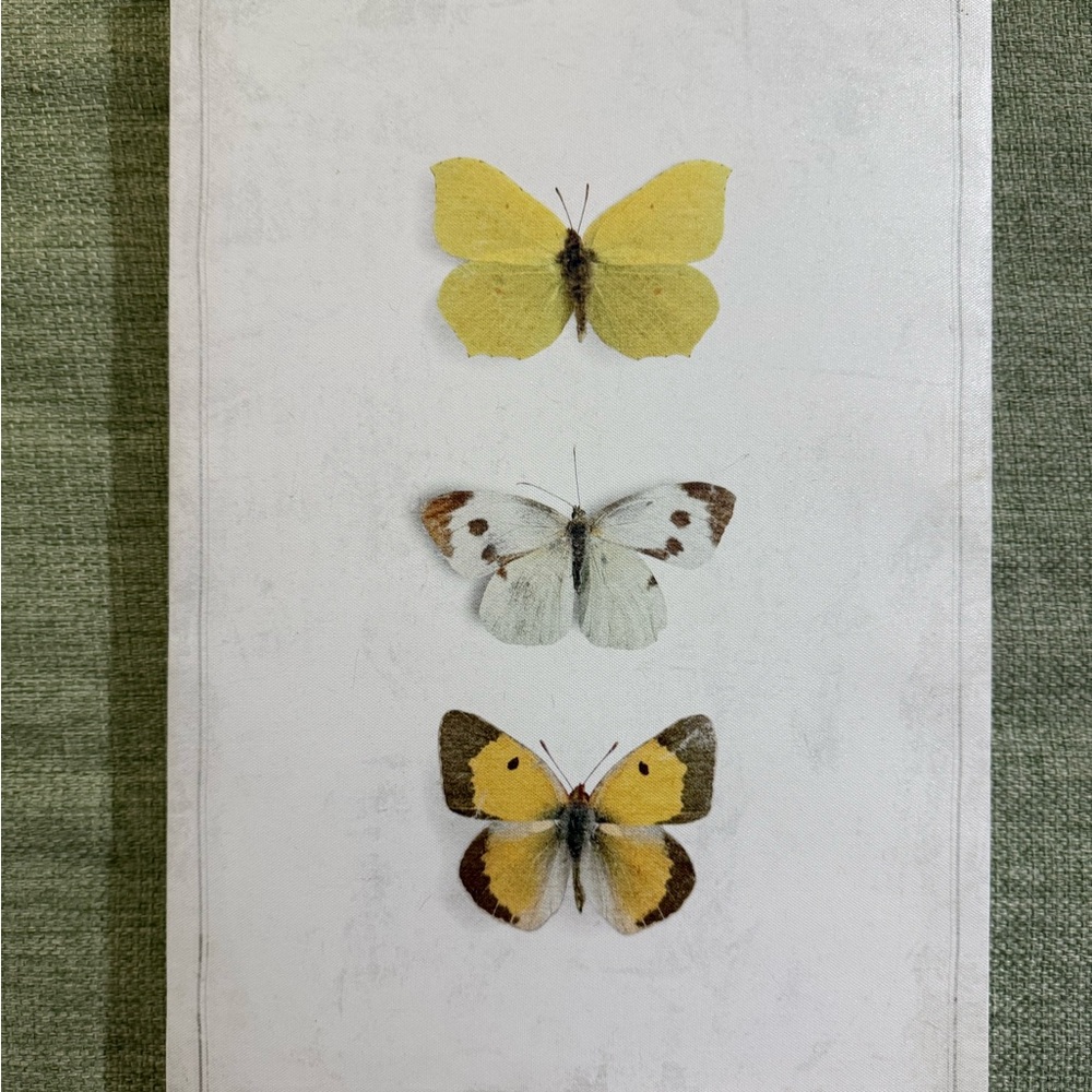 Butterfly Wall Art Decor - Yellow and White